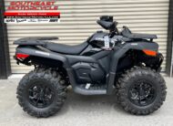 2025 CFMOTO CFORCE 600